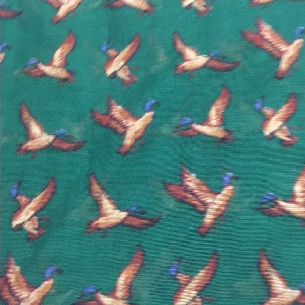 Nordstrom Green Scarf with Brown & Blue Duck Print